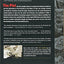 The Plot: The Secret Story of The Protocols of the Elders of Zion