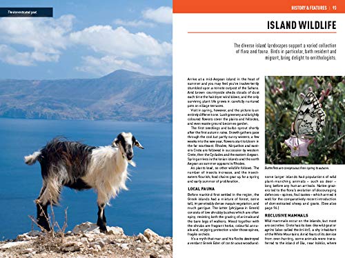 Insight Guides The Greek Islands (Travel Guide with Free eBook)
