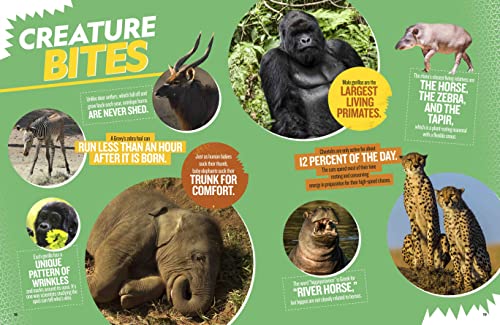 The Ultimate Book of African Animals (National Geographic Kids Ultimate Books)