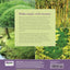The Magical World of Moss Gardening