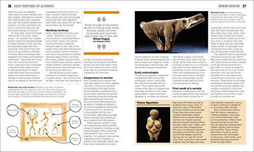 The History Book (DK Big Ideas) by DK
