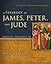 A Theology of James, Peter, and Jude: Living in the Light of the Coming King (6) (Biblical Theology of the New Testament Series)