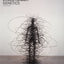 Human Evolutionary Genetics