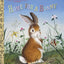 Home for a Bunny: A Classic Bunny Book for Kids (Little Golden Book)