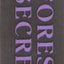 Warriors #3: Forest of Secrets (Warriors: The Prophecies Begin, 3)