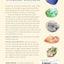 Crystals for Beginners: The Guide to Get Started with the Healing Power of Crystals