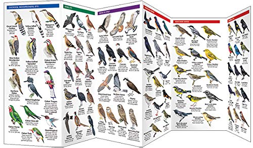Cuba Birds: A Folding Pocket Guide to Familiar Species (Wildlife and Nature Identification)