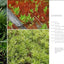The Magical World of Moss Gardening