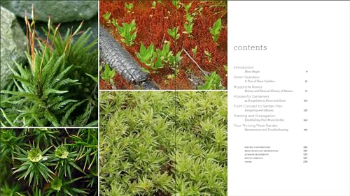 The Magical World of Moss Gardening