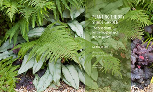 Planting the Dry Shade Garden: The Best Plants for the Toughest Spot in Your Garden