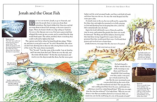 The Children's Illustrated Bible (DK Bibles and Bible Guides)