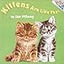 Kittens Are Like That (A Random House Pictureboard)