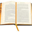 Mark Twain: Five Novels (Leather-bound Classics)