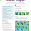 New York Beauty Quilts Electrified: 12 Fun, Skill-Building Projects Using Easy Foundation Paper-Piecing Techniques to Electrify New York Beauty Blocks (Landauer) Sequel to Simplified & Diversified