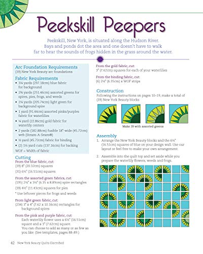 New York Beauty Quilts Electrified: 12 Fun, Skill-Building Projects Using Easy Foundation Paper-Piecing Techniques to Electrify New York Beauty Blocks (Landauer) Sequel to Simplified & Diversified