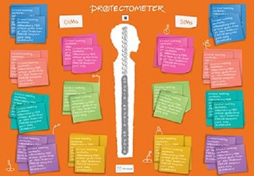 The Explain Pain Handbook: Protectometer