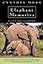 Elephant Memories: Thirteen Years in the Life of an Elephant Family