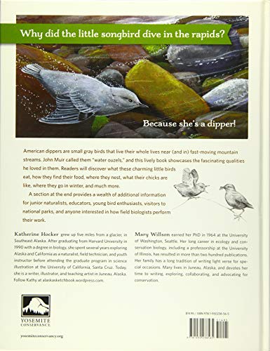 The Singer in the Stream: A Story of American Dippers