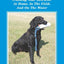 Field Guide to Retriever Drills: Training Your Retriever at Home, in the Field, and on the Water