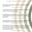 The Second Circle: How to Use Positive Energy for Success in Every Situation