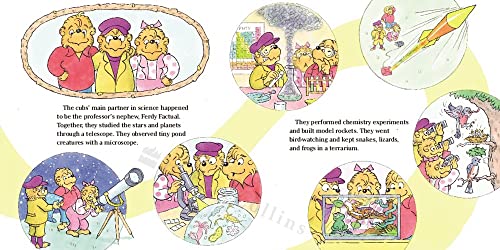 The Berenstain Bears' Big School Project