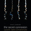 The Secret Connexion: Causation, Realism, and David Hume