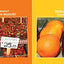 Go, Go, Grapes!: A Fruit Chant (Classic Board Books)