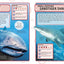 Sharks and Other Deadly Ocean Creatures Visual Encyclopedia (DK Children's Visual Encyclopedias)