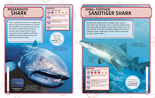 Sharks and Other Deadly Ocean Creatures Visual Encyclopedia (DK Children's Visual Encyclopedias)
