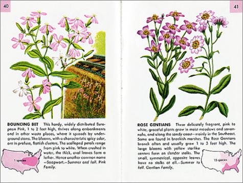 Wildflowers: A Fully Illustrated, Authoritative and Easy-to-Use Guide (A Golden Guide from St. Martin's Press)