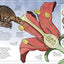 Mammoth Science: The Big Ideas That Explain Our World (DK)