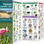 Texas Seashore Life: A Folding Pocket Guide to Familiar Coastal Plants & Animals (A Pocket Naturalist Guide)