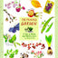 Painted Garden: A Year In Words And Watercolors