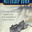 Tales from Watership Down