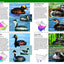 National Wildlife Federation Field Guide to Birds of North America