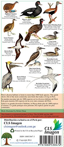 Peru Birds (Laminated Foldout Pocket Field Guide) (English and Spanish Edition)