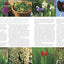 The Complete Gardener: A Practical, Imaginative Guide to Every Aspect of Gardening