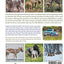 Coyotes: The Way of the Wild (Animals of Sturgeon Lake)