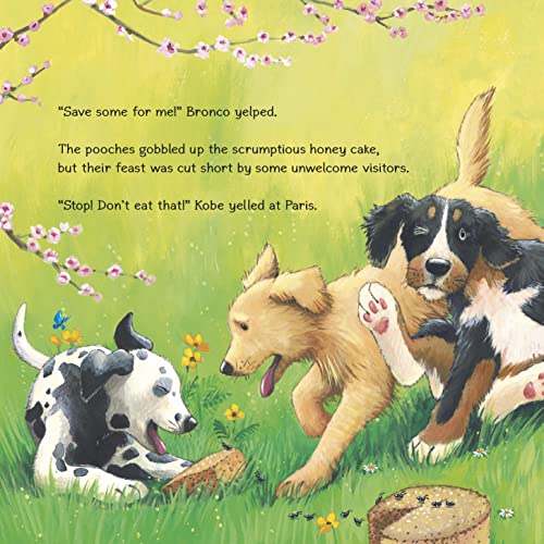 Bronco and Friends: Mission Possible