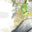 Go-Away Bird