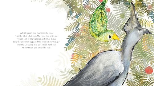 Go-Away Bird