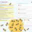 Brain Quest Workbook: Grade 5
