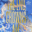 The End Crowns All