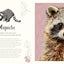 Antología de animales extraordinarios (An Anthology of Intriguing Animals) (DK Children's Anthologies) (Spanish Edition)