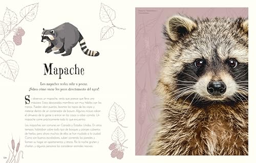 Antología de animales extraordinarios (An Anthology of Intriguing Animals) (DK Children's Anthologies) (Spanish Edition)