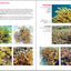 Reef Coral Identification: Florida, Caribbean, Bahamas 3rd Edition (Reef Set (New World))