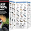 East Africa Birds: A Folding Pocket Guide to Familiar Species in Kenya, Tanzania & Uganda (Wildlife and Nature Identification)