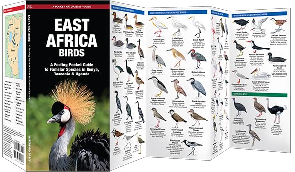 East Africa Birds: A Folding Pocket Guide to Familiar Species in Kenya, Tanzania & Uganda (Wildlife and Nature Identification)