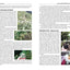 Foraging for Survival: Edible Wild Plants of North America