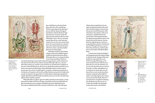 The Alchemical Feminine: Women, Gender and Sexuality in Alchemical Images